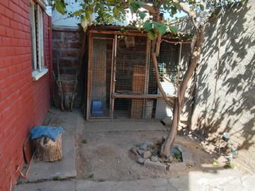 Imagen 5