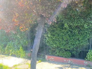 Reja de acceso principal