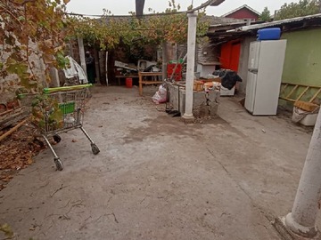 Imagen 7