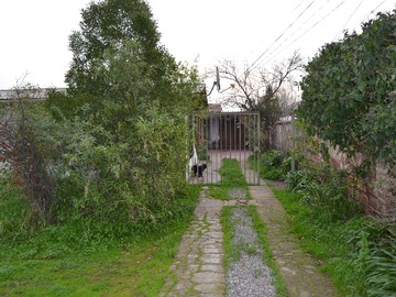 Imagen 20
