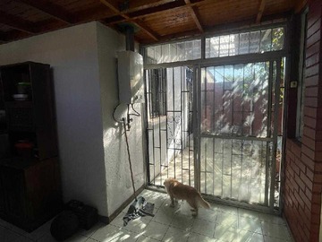 Imagen 5