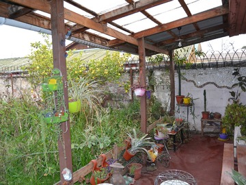 Imagen 14