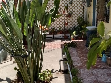 Amplio jardín