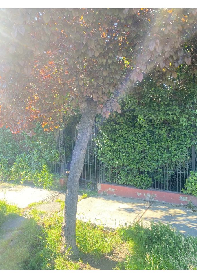 Reja de acceso principal