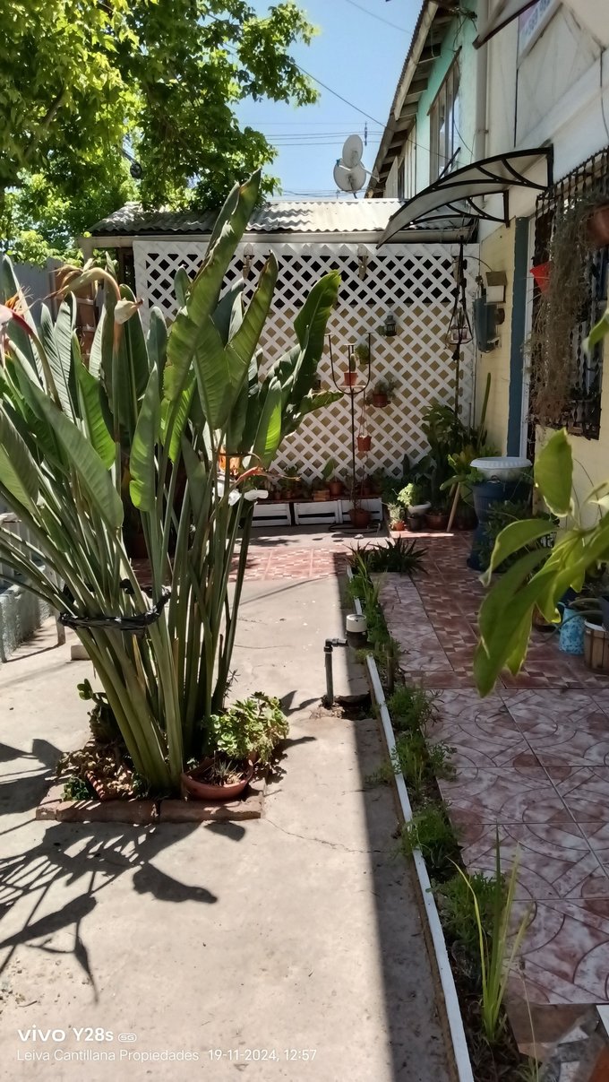 Amplio jardín