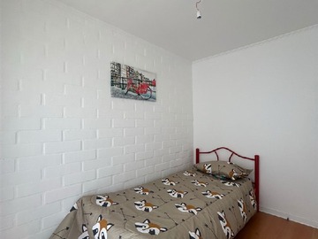 Imagen 13