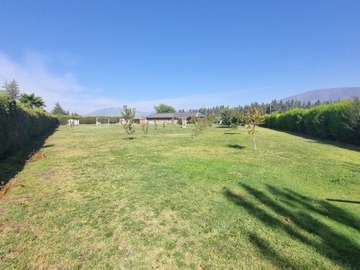 Imagen 6