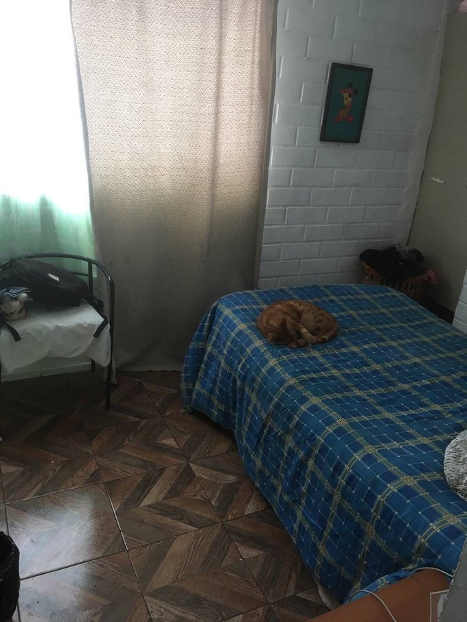 Dormitorio