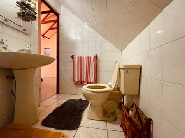 Imagen 13