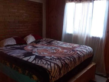 Imagen 9