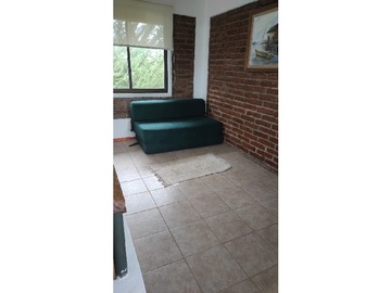 Imagen 14
