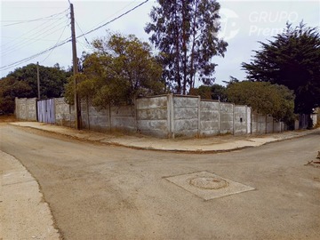 Imagen 15