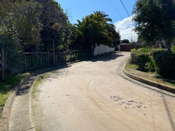 Imagen 6