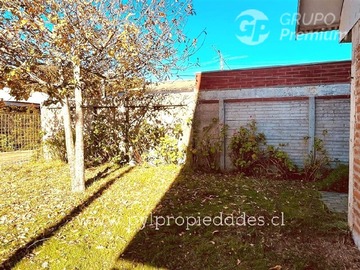 Imagen 16