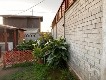 Imagen 28