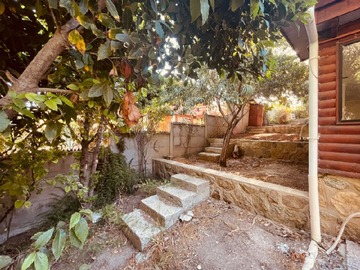 Imagen 6