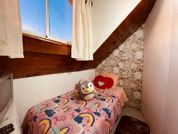 Imagen 23