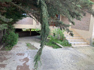 Imagen 26
