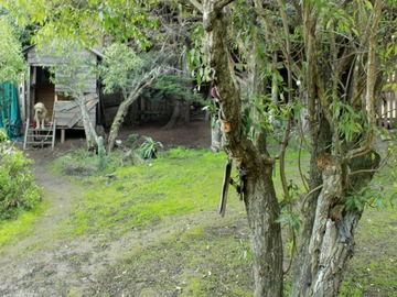 Imagen 38