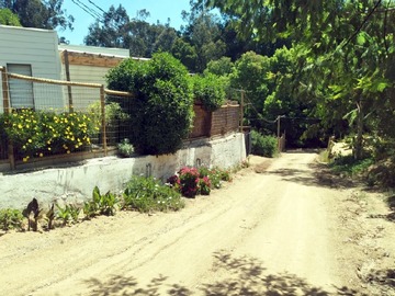 Imagen 16