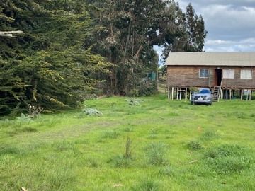 Imagen 20