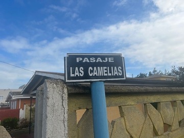 Imagen 17