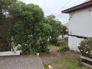 Imagen 14