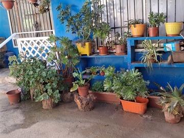 Venta / Casa / El Tabo