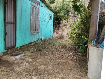 Imagen 5