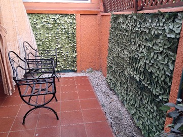 Imagen 19