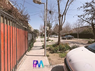 Imagen 20