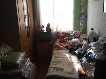 Imagen 7