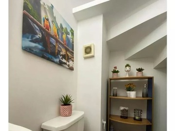 Imagen 5