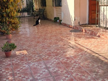 Imagen 4