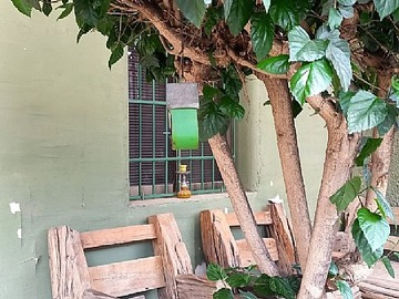 Imagen 4