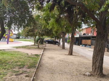 Imagen 11