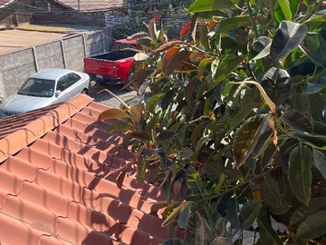 Imagen 20