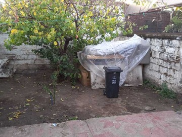Imagen 11