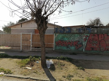 Imagen 5
