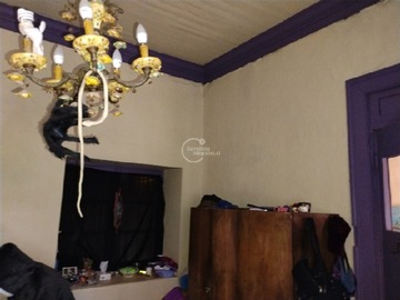 Imagen 10