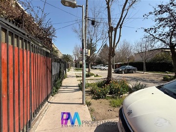 Imagen 21