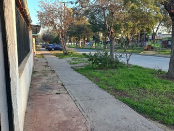 Imagen 12