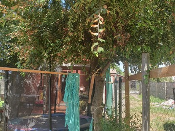 patio posterior