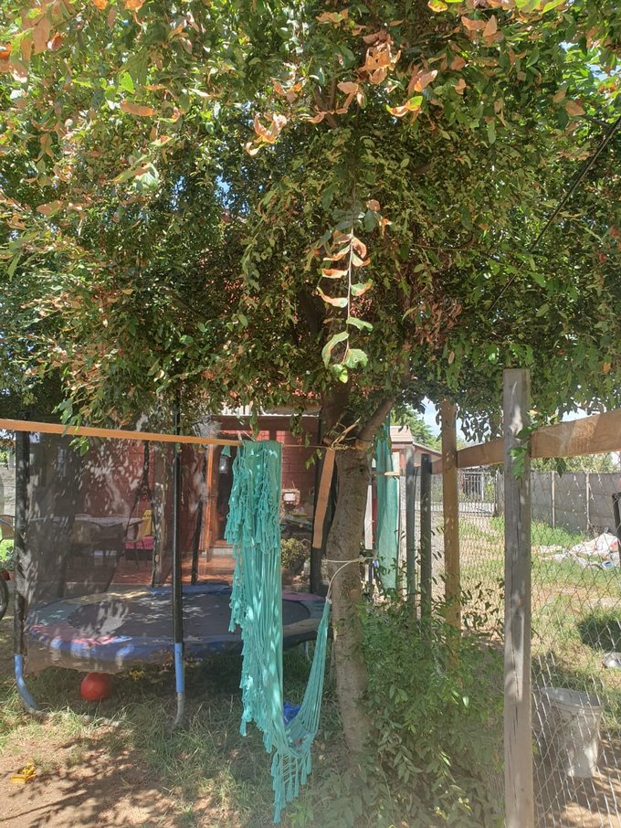 patio posterior