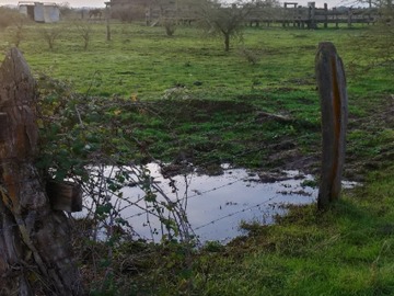 Venta / Casa / General Lagos