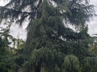 Venta / Casa / General Lagos