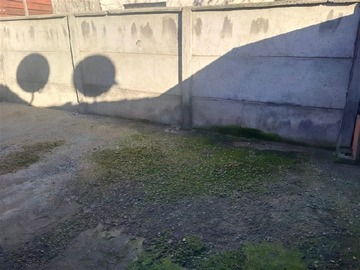 Imagen 20