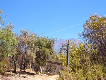 Venta / Casa / Hijuelas