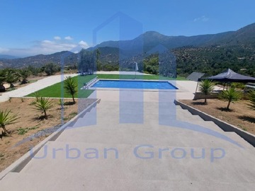 Imagen 6