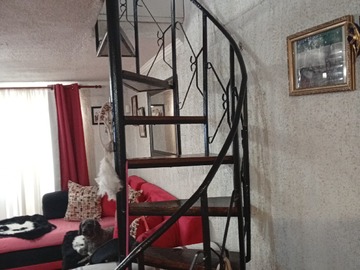 Imagen 6